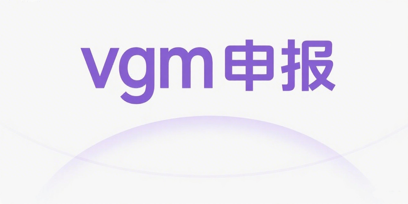 vgm申报多报了400kg超了吗？