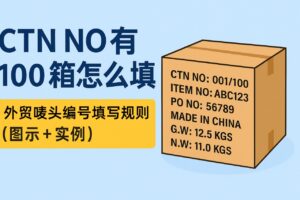 CTN NO 有 100 箱怎么填